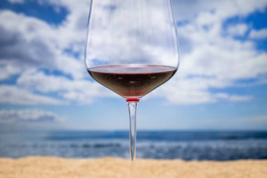 Sahilde arkasında bulutlar olan kırmızı şaraplı bir bardak.