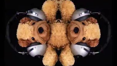 A teddy dog wearing headphones and dancing