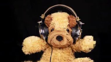 A teddy dog wearing headphones and dancing