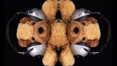 A teddy dog wearing headphones and dancing