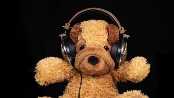 Teddy Dog Wearing Headphones Dancing — Vídeos de Stock