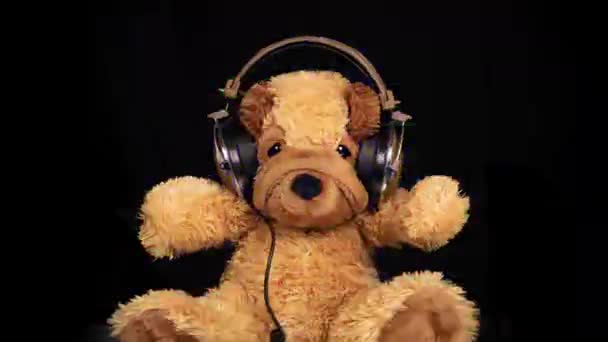 一只带着耳机跳舞的泰迪狗 — 图库视频影像