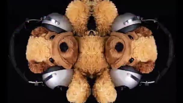 Teddy Dog Wearing Headphones Dancing — 비디오