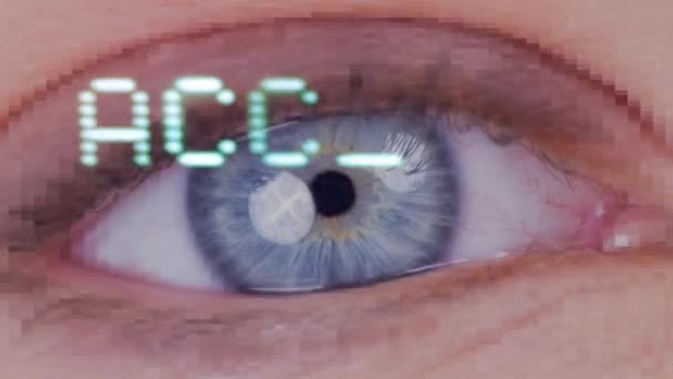 Old Style Computer Typeface Writing Access Granted Blinking Eye — Vídeo de stock