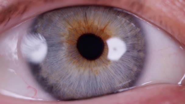 Close Shot Blu Eye — Video