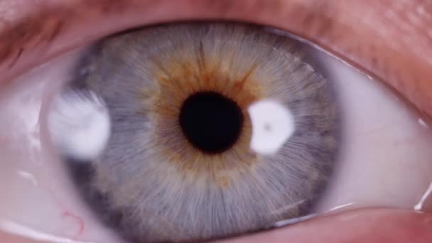 Close Shot Blu Eye — Stockvideo