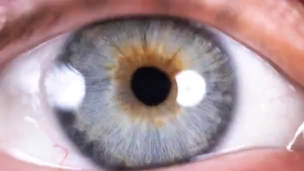 Close Shot Blue Eye Various Videos Overlayed Pulsing — Stockvideo