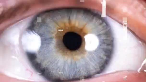 閉じるアップショットの青い目とともに様々なビデオOverlayedとPulsing — ストック動画