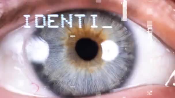 Close Shot Blue Eye Words Identity Scan Process Overlayed — Video