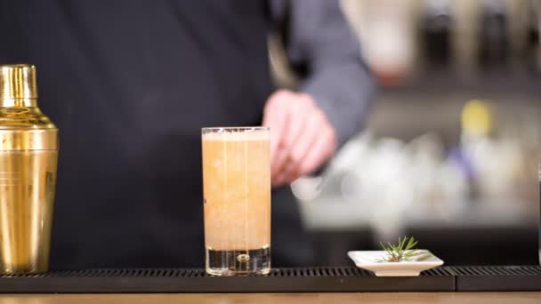 Cocktail Waiter Mixes Drink Bar — Vídeo de stock