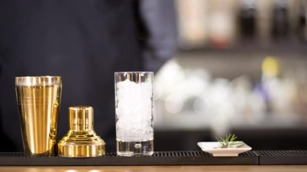 Cocktail Waiter Makes Drink Bar — 图库视频影像