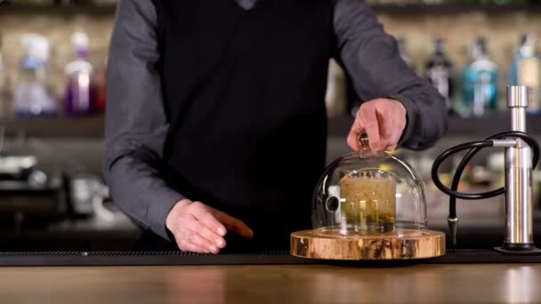 Waiter Makes Experimental Cocktail Smoke Machine Bar — Vídeo de stock