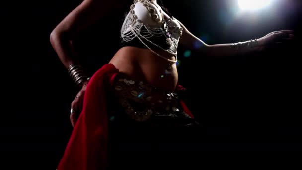 Beautiful Traditional Oriental Belly Dancer Studio Shoot — Video Stock