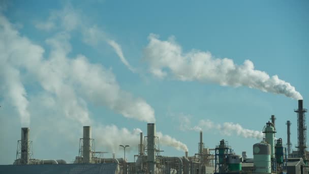 有烟雾塔的工业发电厂 关于能源 气候变化和环境问题的好视频 — 图库视频影像