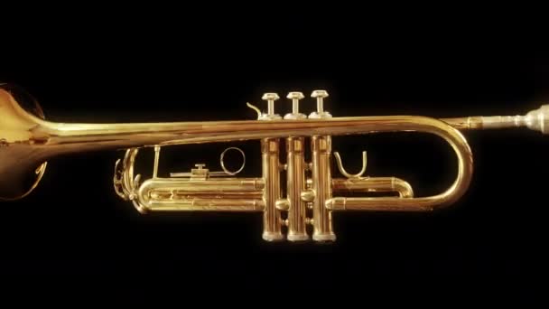 Stop Motion Clip Trumpet Spinning — Stock Video