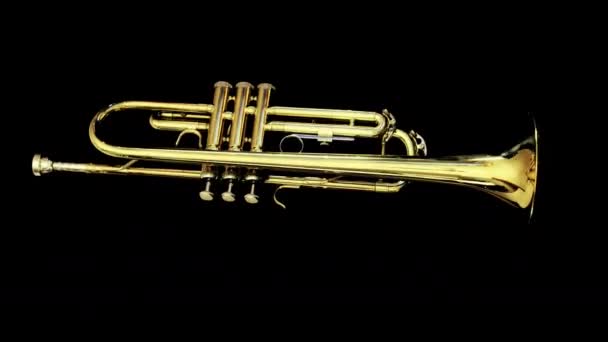 Stop Motion Clip Trumpet Spinning — Stock Video