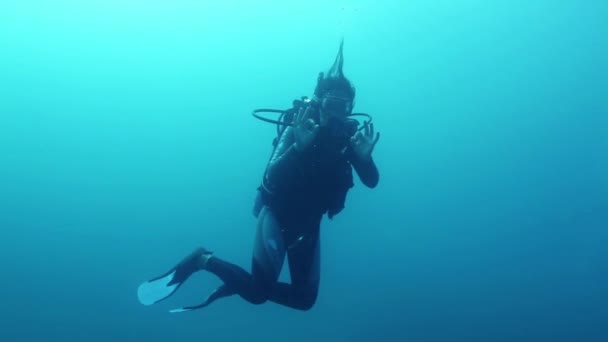 Potápěč Pod Vodou Obklopen Školou Jack Fish — Stock video