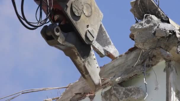 一只有下巴的鹤冲垮了一座大楼 看起来有点像一只吃东西的恐龙 — 图库视频影像