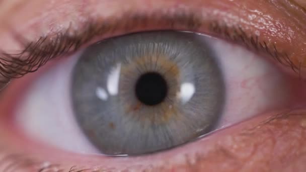 Eine Nahaufnahme Eines Hübschen Auges — Stockvideo