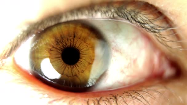 Güzel Bir Gözün Yakın Çekimi — Stok video