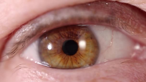 Eine Nahaufnahme Eines Hübschen Auges — Stockvideo