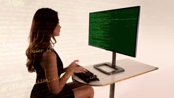Chytrá Žena Počítači Temné Siluetě — Stock video