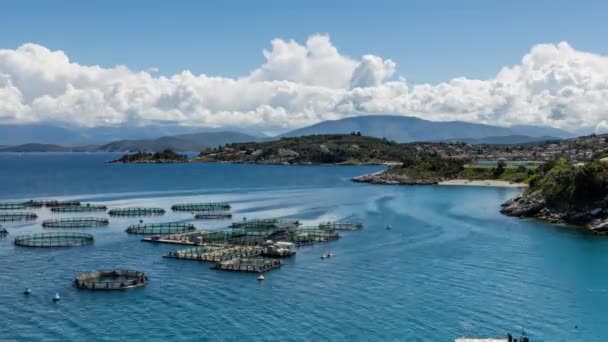 Vue Des Fermes Piscicoles Dans Mer Corfou Grèce — Video