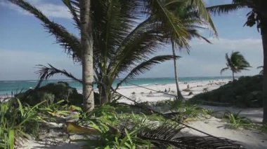 Tulum Meksika 'daki güzel sahil.