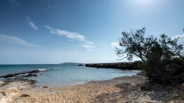 Pretty Beach Olive Trees Paros Greece — Stock Video