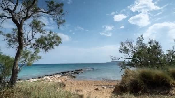 Paros Içinde Zeytin Ağaçları Olan Güzel Bir Sahil Yunan — Stok video