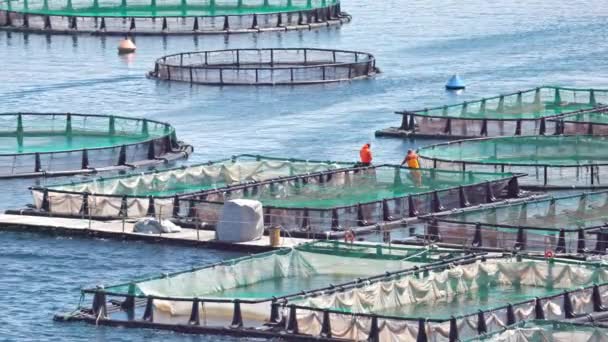 Blick Auf Fischfarmen Meer Auf Korfu Griechenland — Stockvideo