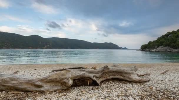 美丽的海滩 日落时分有巨大的圆木和海岸灰泥 — 图库视频影像