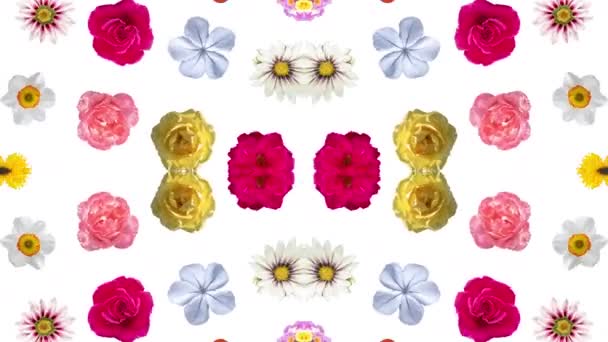 Hypnotic Mirrored Pattern Made Different Flowers Cutout — Stock Video
