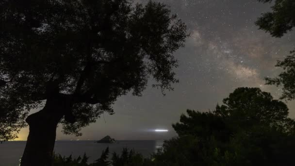 Noc Timelpase Pobřeží Řečtině Při Východu Slunce Mezi Stromy — Stock video