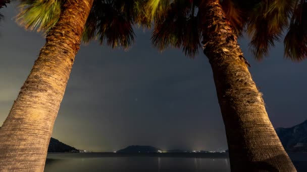 Ночной Отдых Прекрасном Пляже Побережье Греции Восходе Солнца Через Пальмы — стоковое видео