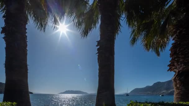 Ujęcie Pięknej Plaży Wybrzeża Grecji Wschodzie Słońca Przez Palmy — Wideo stockowe