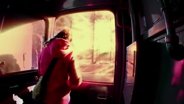 Kobieta Patrzy Przez Okno Pociągu Chepe Który Przechodzi Przez Niesamowity — Wideo stockowe