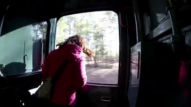 女人从穿过墨西哥令人难以置信的铜峡谷的El Chepe火车的窗户往外看 — 图库视频影像