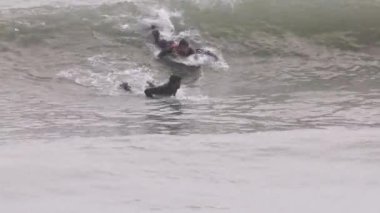 Akdeniz 'de dalga yakalayan bir erkek sörfçü.