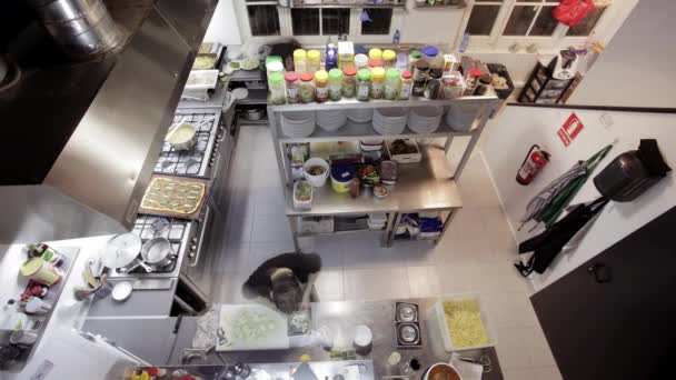 Calendarul Bucătarilor Care Pregătesc Mâncare Într Bucătărie Restaurant — Videoclip de stoc