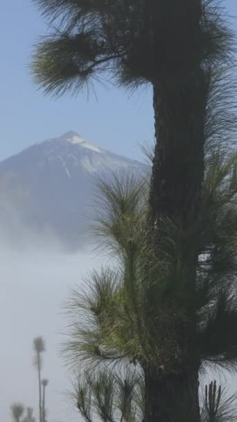 Teide Sopka Tenerife Svislém Formátu — Stock video