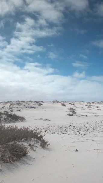 Steile Zandduin Het Strand Bij Sotavento Jadia Fuerteventura Met Zee — Stockvideo