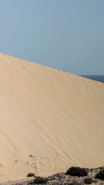 Steile Zandduin Het Strand Bij Sotavento Jadia Fuerteventura Met Zee — Stockvideo