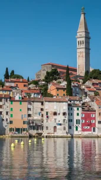 Παραθαλάσσια Πόλη Rovinj Στην Αδριατική Ακτή Κροατία Κάθετη Βίντεο Αρχείου