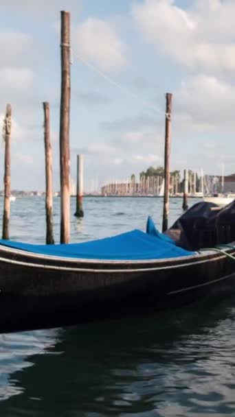 Bilder Kanalen Staden Venice Vertikal — Stockvideo