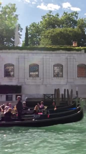 Tomas Ciudad Canal Venecia Vertical Metraje De Stock Sin Royalties Gratis