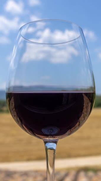 一个玻璃与白色的葡萄酒在自然的垂直视频 — 图库视频影像