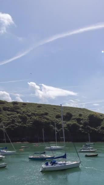 Marée Montante Descendante Solva Pembrokeshire Pays Galles Vertical Séquence Vidéo