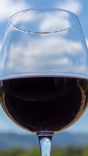 Bicchiere Con Vino Bianco Natura Video Verticale — Video Stock