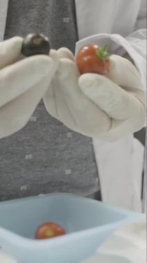 Bilim adamı dikey olarak biyoloji laboratuvarında deneyler yapıyor. 